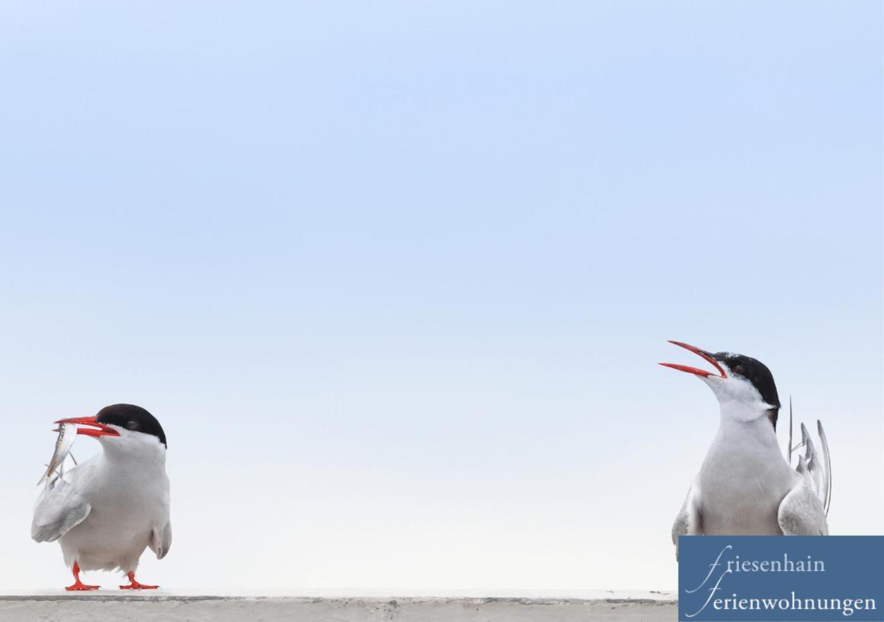Friesenhain Ferienwohnungen Sankt Peter-Ording Dış mekan fotoğraf
