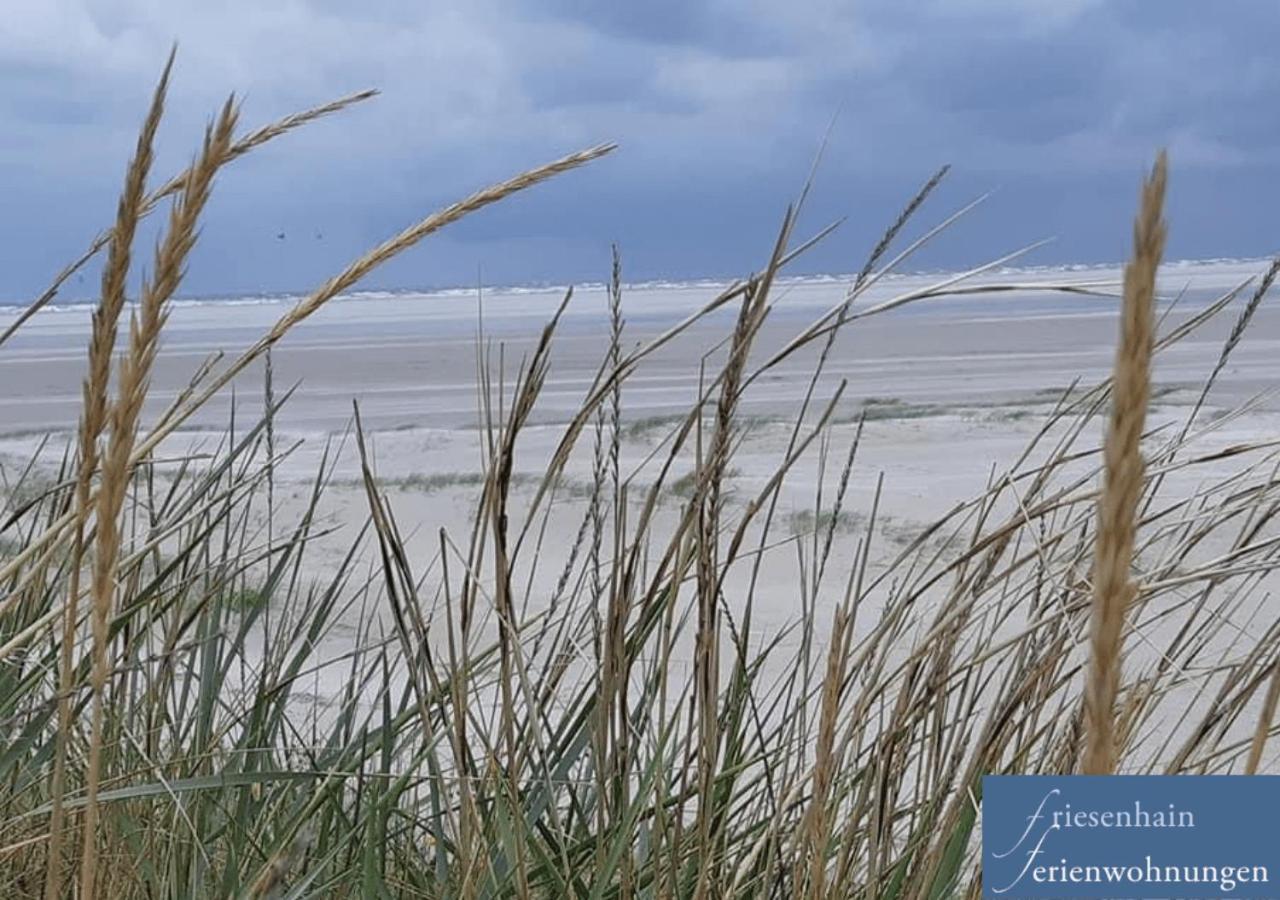 Friesenhain Ferienwohnungen Sankt Peter-Ording Dış mekan fotoğraf